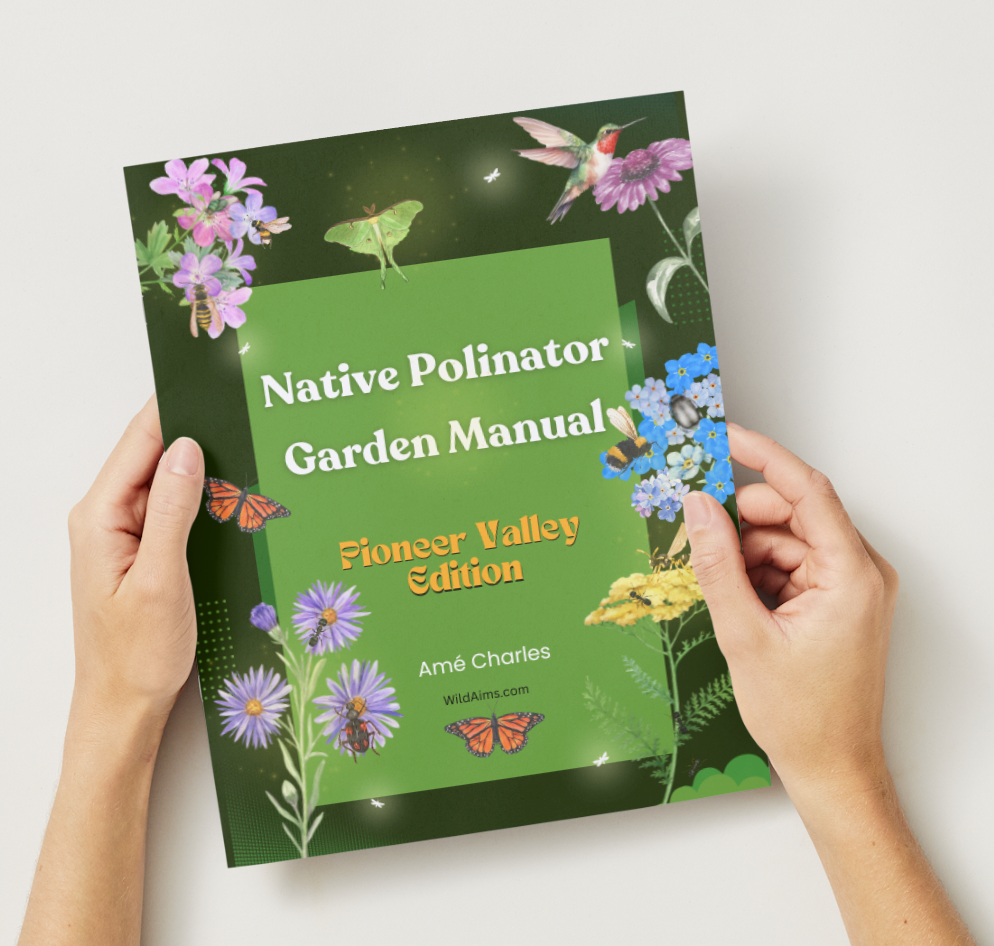 Native Pollinator Garden Manual - Pioneer Valley Edition