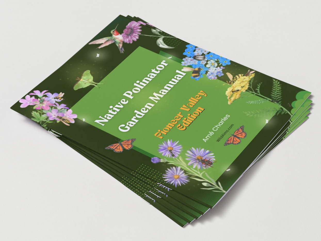 Native Pollinator Garden Manual - Pioneer Valley Edition