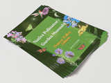 Native Pollinator Garden Manual - Pioneer Valley Edition
